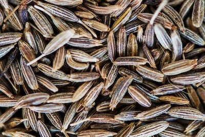 Découvrez le Cumin du Sri Lanka : Secrets, Bienfaits et Recettes Savoureuses