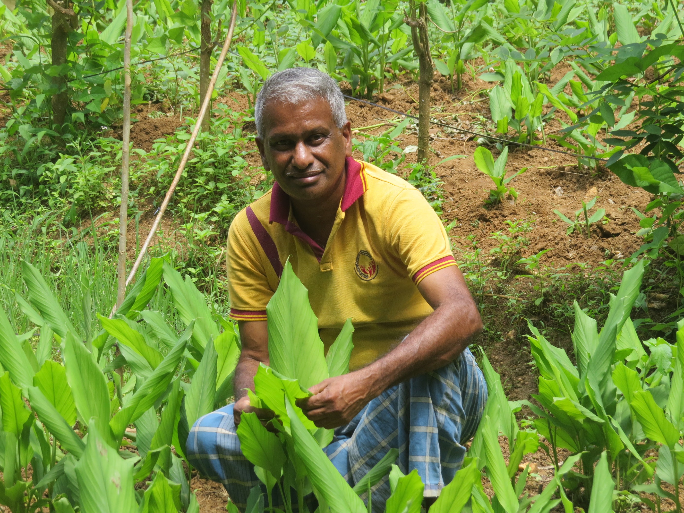 A la Rencontre d'Asoka