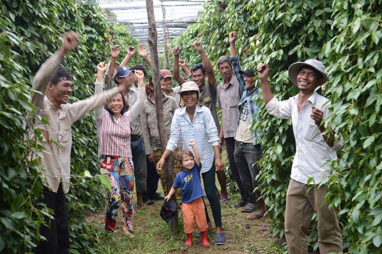 Bo Tree Farm, Au cœur du poivre de Kampot