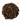 Ceylon Cloves